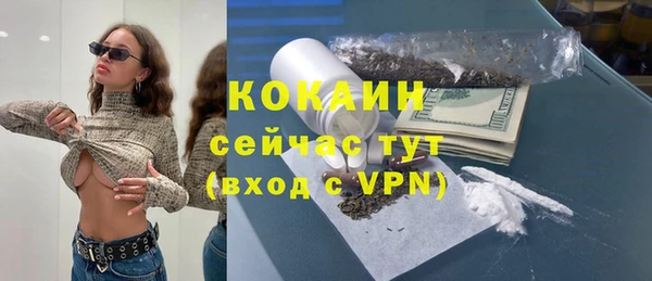 винт Лиски